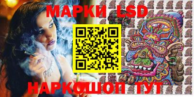 крисы Нальчик