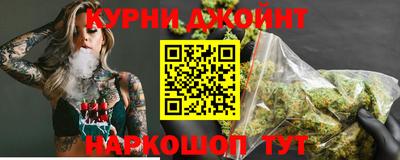 крисы Нальчик