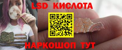 крисы Нальчик