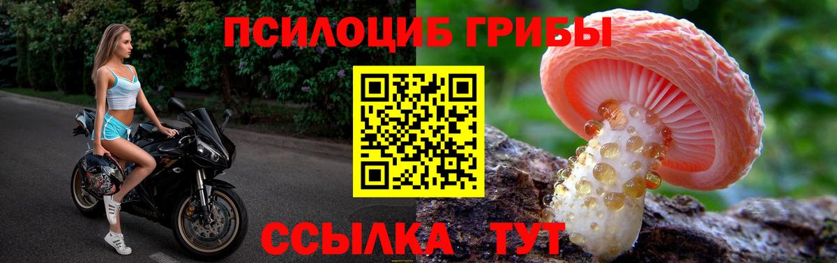 Галлюциногенные грибы Psilocybine cubensis Алатырь