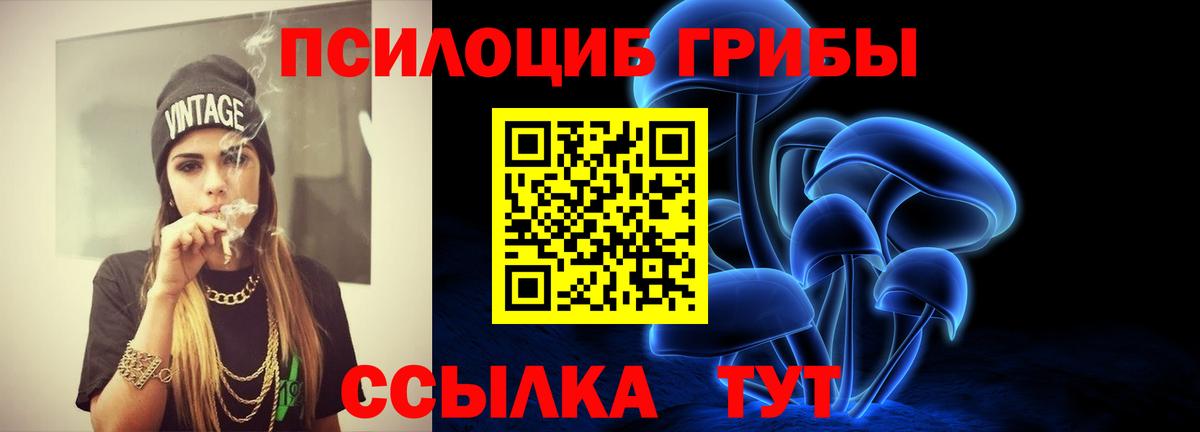 Псилоцибиновые грибы Psilocybe  Вход с VPN  где купить наркоту  Алатырь 